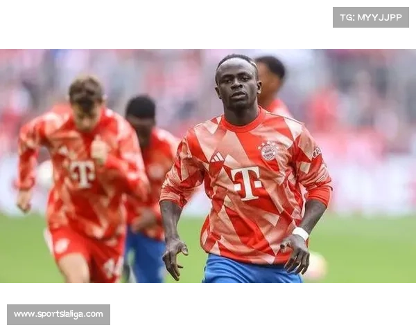 沙特资本入主欧洲足坛背景下，德甲财务公平法案执行现状分析